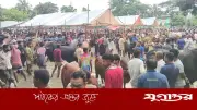 নরসিংদীতে খাজনাবিহীন পশুর হাটে ক্রেতার ঢল, তিন হাজার পশু বিক্রি