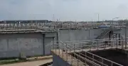 ঈদুল আজহায় সাভারের চামড়া শিল্পনগরীতে ব্যস্ততা, চ্যালেঞ্জ লবণ ও রাসায়নিকের দাম