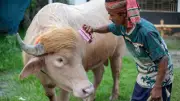 স্বরাষ্ট্রমন্ত্রীর হস্তক্ষেপে রক্ষা পেলেন ডোনাল্ড ট্রাম্প