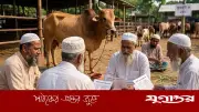 কুরবানির পশু জবাইয়ের আগে শরিকদের নাম বলার হুকুম কী