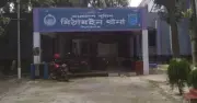 হাওরে দুই ছোট ভাইকে বেঁধে বড় ভাইকে বল্লমের আঘাতে হত্যা