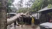 বরিশালে ঝড়ে বিধ্বস্ত ঘরবাড়ি, বিদ্যুৎহীন পুরো উপজেলা