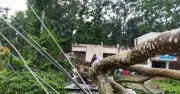 কালবৈশাখী ঝড়ে বিধ্বস্ত পল্লী বিদ্যুৎ ব্যবস্থা, ঈদের আগে গ্রাহকদের ভোগান্তি