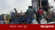 গাবতলী হাটে গরুর দামে ধস, ব্যাপারীরা বিপাকে