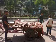 রাজধানীতে কোরবানির চামড়ার দাম কম, বিক্রেতারা হতাশ
