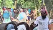 মাংস বণ্টন নিয়ে দ্বন্দ্বে ফরিদপুরে সংঘর্ষ, আহত ৩০
