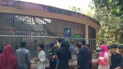 ঈদুল আজহায় জাতীয় চিড়িয়াখানায় দর্শনার্থীদের ভিড় কম, বাঘ দেখে শিশুদের উচ্ছ্বাস