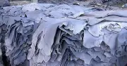 রাজধানীতে কোরবানির চামড়ার বাজারে দরপতন, ছাগলের চামড়া ৫ টাকায়