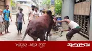 ঈদের দ্বিতীয় দিনেও চলছে পশু কুরবানি, ধর্মীয় ভাবগাম্ভীর্যে উদযাপন