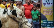 ঈদের দ্বিতীয় দিনেও রাজধানীতে কোরবানির ধুম