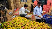 ভারতীয় আম আমদানিতে জাপানের নিষেধাজ্ঞা ‘কোনো ধরনের চক্রান্ত দেশের জন্য বিপজ্জনক’