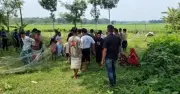 ফসলি জমিতে ককটেল বিস্ফোরণে শিশুর হাতের আঙুল ঝরে গেছে