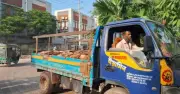 সাভারে কোরবানির পশুর চামড়া আসা শুরু, ইতিমধ্যে প্রায় পাঁচ লাখ