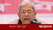 জিয়ার স্বাধীনতার ঘোষণায় যুদ্ধে ঝাঁপিয়েছিল মানুষ: মির্জা ফখরুল