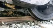 লাউয়াছড়ায় তেলবাহী ট্রেন লাইনচ্যুত, রেল যোগাযোগ বন্ধ