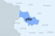 কুষ্টিয়ায় শিশুকে নদীতে ফেলে মায়ের আত্মহত্যার চেষ্টা