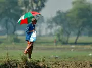 বৃষ্টি আল্লাহর রহমত, দোয়া কবুলের বিশেষ সময়