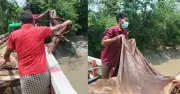 দাম না পেয়ে ফেনীতে শতাধিক গরুর চামড়া নদীতে ফেললেন ব্যবসায়ীরা