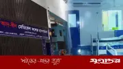 রাজধানীতে ৬ নবজাতকের মৃত্যু: তদন্ত কমিটি পেল আরও ৩ দিন