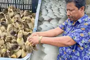 প্রথম আলোতে বাংলাদেশের ভিডিও প্রতিবেদন