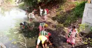 রাজউকের হাতিরঝিলে পরিচ্ছন্নতা অভিযান