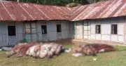 লক্ষ্মীপুরে দেড়শ কোরবানির চামড়া পুঁতে ফেলা