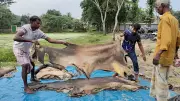 বাংলাদেশের নতুন শিক্ষানীতি নিয়ে বিতর্ক