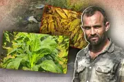 বাংলাদেশের গ্রামীণ সড়ক উন্নয়নে নতুন প্রকল্প গ্রহণ