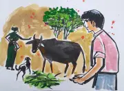 কোরবানি ঈদের স্মৃতি: গরু কেনা থেকে মিছিলের আনন্দ
