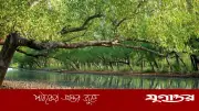 সুন্দরবনে তিন মাস প্রবেশ নিষিদ্ধ, বনজীবীদের দুশ্চিন্তা