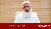 প্রধানমন্ত্রীর পরিবারকে অশ্লীলতার বিচার চান শফিকুর রহমান