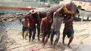 আন্তর্জাতিক শ্রম দিবস: সংগ্রামের ইতিহাস ও বর্তমান বাস্তবতা