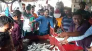 লক্ষ্মীপুরে মেঘনায় মাছ ধরা শুরু, যুদ্ধজাহাজে জ্বালানি-খাবার-গোলাবারুদ মজুত করছে যুক্তরাষ্ট্র