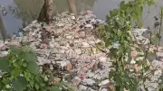 বাংলাদেশের অর্থনীতি: নতুন সম্ভাবনা ও চ্যালেঞ্জ