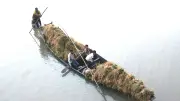কিশোরগঞ্জে বন্যায় ৭ হাজার হেক্টর বোরো ধান তলিয়ে গেছে
