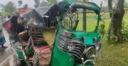 নেত্রকোণায় বাস-সিএনজি সংঘর্ষে দুইজন নিহত