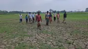 রাজশাহীতে বিএমডিএ নলকূপের অপারেটর পানি না দেওয়ায় ৪০ বিঘা জমি পতিত