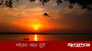 জনপদে চিন্তার ইতিহাস: বানর বিবর্তিত প্রজাতি মানুষের স্বভাব