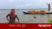 হাওরে কৃষকের বোবাকান্না, তলিয়ে যাচ্ছে সোনার ফসল