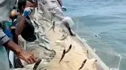 বাংলাদেশের নতুন শিক্ষানীতি অনুমোদন