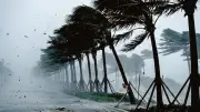 সন্ধ্যার মধ্যে ৬০ কিমি বেগে ঝড়-বজ্রসহ বৃষ্টি, তামিলনাড়ুতে বিজেপির চমক