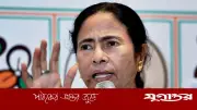 বাঘের বাচ্চার মতো লড়বেন মমতা, বিজেপিকে হুঙ্কার