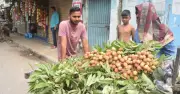 অপরিপক্ব লিচু খেলে মারাত্মক স্বাস্থ্যঝুঁকি, সতর্কতা জারি