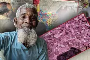 বাংলাদেশের শিক্ষাব্যবস্থায় নতুন উদ্যোগ