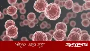 সকালের কাশি বা গলা ব্যথা কি ক্যানসারের লক্ষণ হতে পারে?