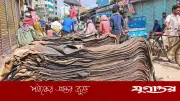 পশুর চামড়া সংগ্রহে নতুন সিদ্ধান্ত সরকারের, কঠোর ব্যবস্থা আসছে