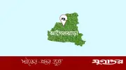 কিশোর গ্যাংয়ের হামলায় স্কুলছাত্র আহত: আগৈলঝাড়ায় ঘটনা