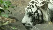 আমার সন্তানকে কীভাবে পড়াশোনায় উৎসাহিত করব?