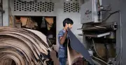 ঈদের আগে চামড়া ব্যবসায়ীদের জন্য বড় সুখবর দিল বাংলাদেশ ব্যাংক