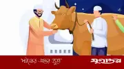 কুরবানি ও আকিকা: এক পশুতে দেওয়া যাবে কি? ইসলামের নির্দেশনা